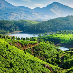 Munnar Weekend Trip