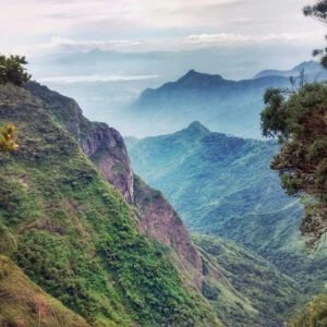Kodaikanal Berijam Forest Tours