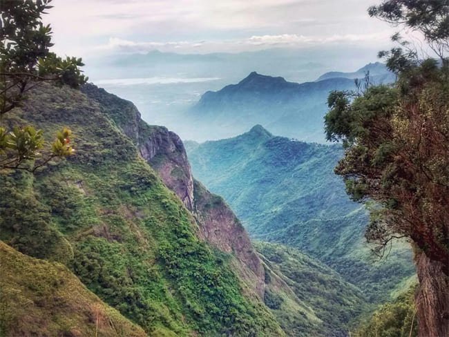 Kodaikanal Berijam Forest Tours