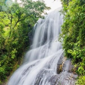 Kodaikanal Picnic Trekking Tours