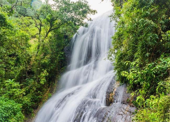 Kodaikanal Picnic Trekking Tours