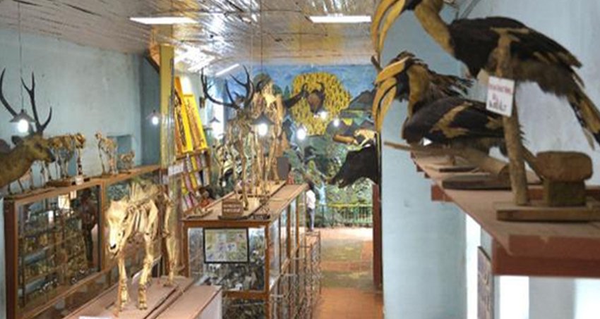 Kodaikanal Anjuveedu Picnic Tours