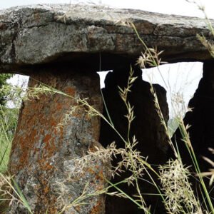 Kodaikanal Anjuveedu Picnic Tours