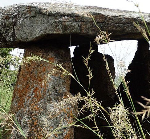 Kodaikanal Anjuveedu Picnic Tours