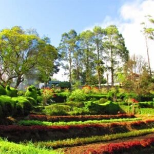 Kodaikanal Weekend Family Tours 2 Days