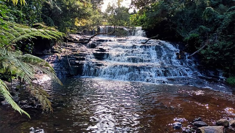 Kodaikanal Picnic Trekking Tours