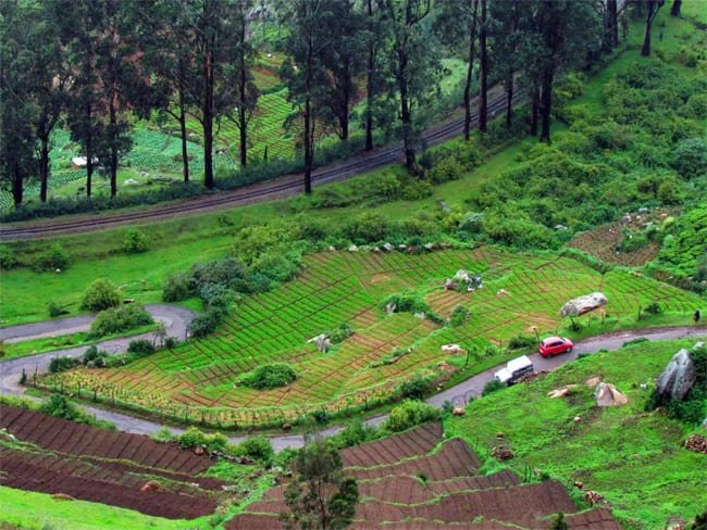 Honeymoon Package Ooty Hills