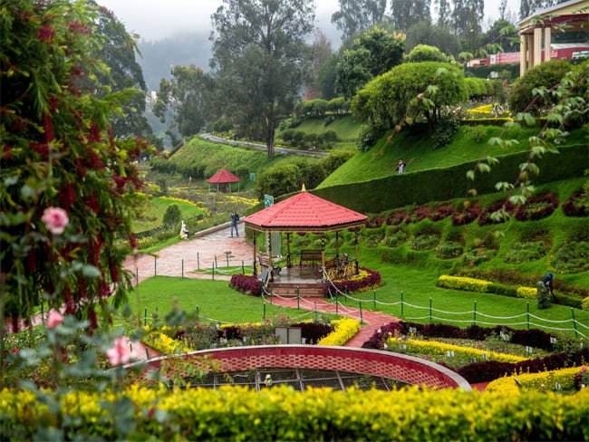 Honeymoon Package Ooty Hills