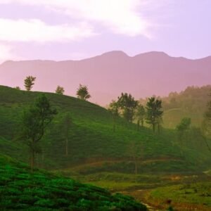Wayanad weekend trip