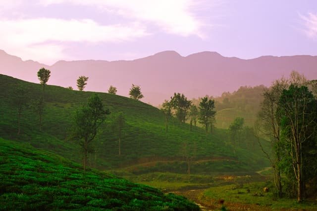 Wayanad weekend trip
