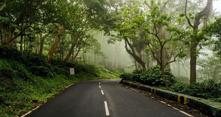 Yercaud Hills Tour
