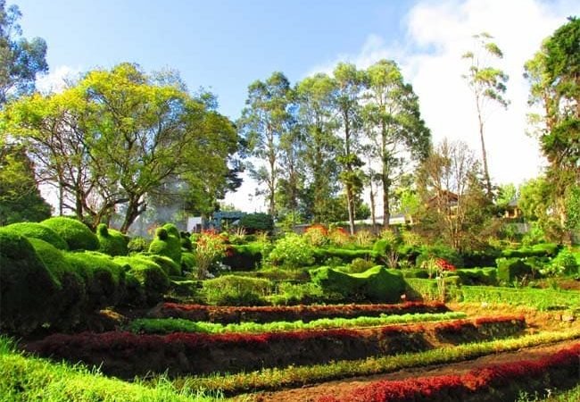 kodaikanal park tour4